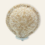 Ombak | Lámpara de Conchas Marinas· 30 cm