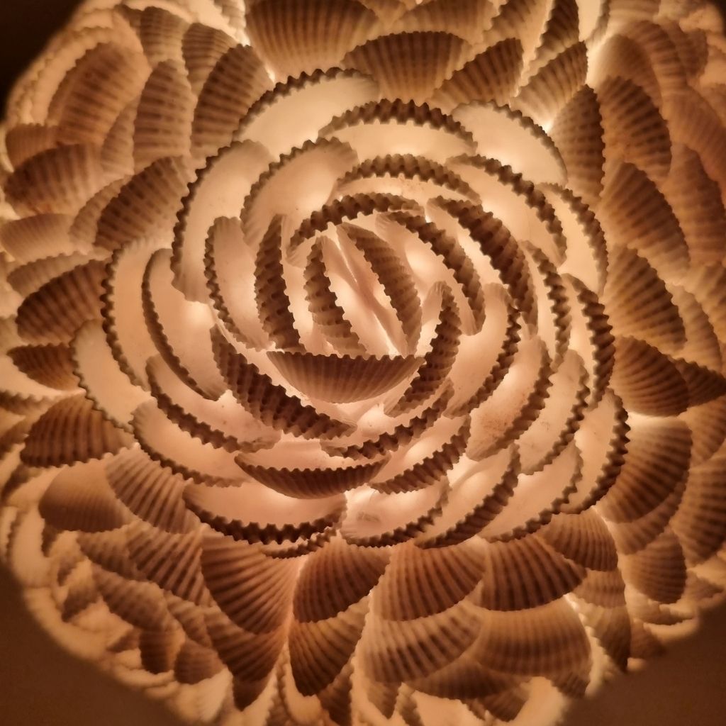 Dewi Mawar Orbe |  Lámpara de Conchas Marinas · 15 cm