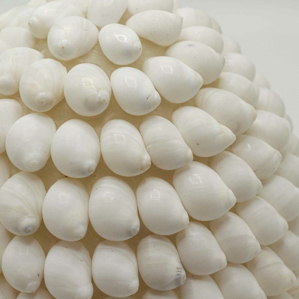 Alun | Lámpara de Conchas Marinas · 15 cm