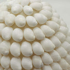 Alun | Lámpara de Conchas Marinas · 15 cm